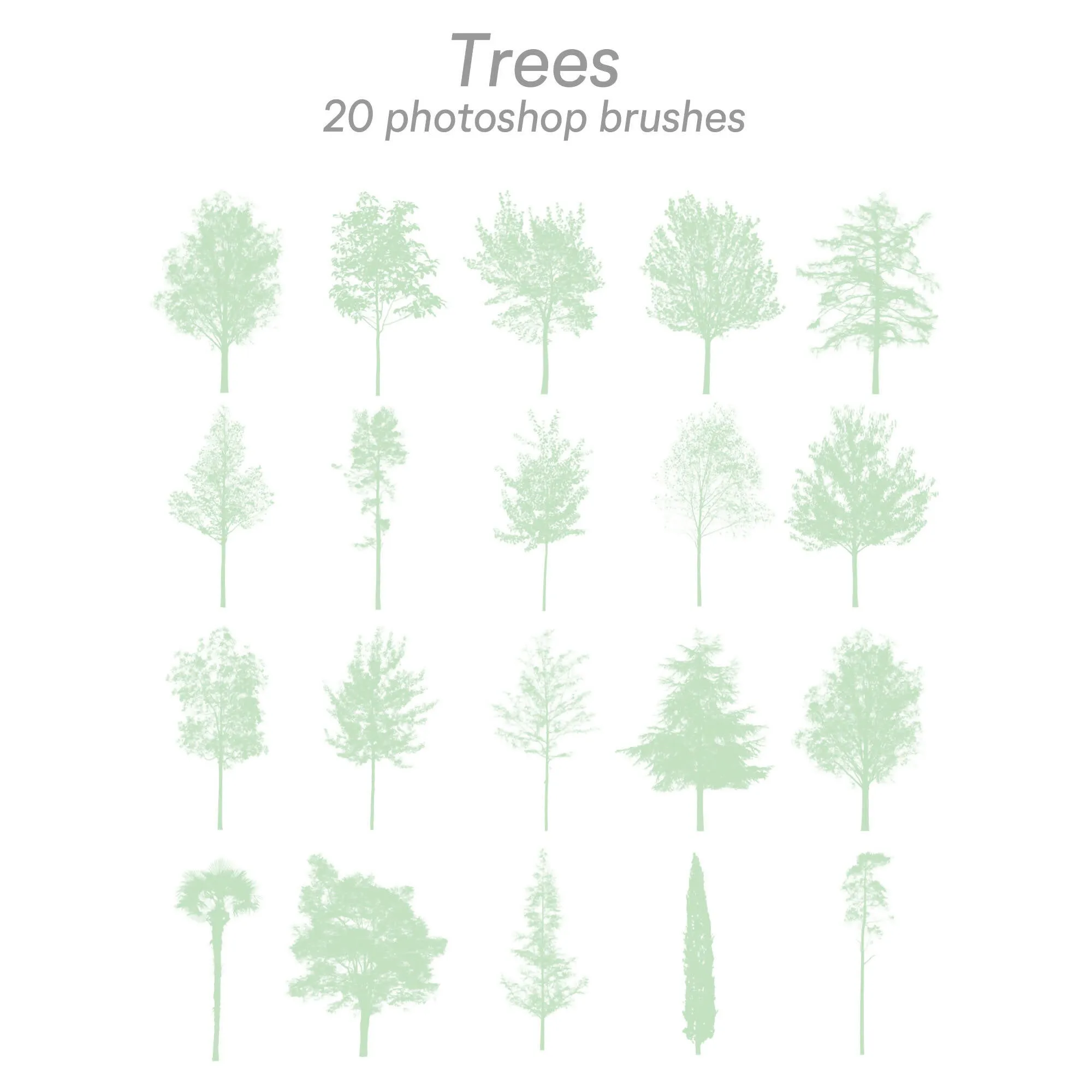 Photoshop Elevation Tree Brush